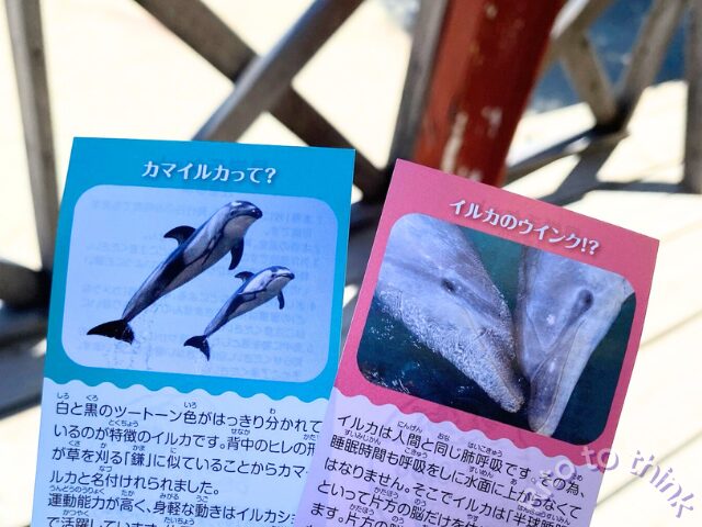 日本ドルフィンセンターのチケット2枚の画像