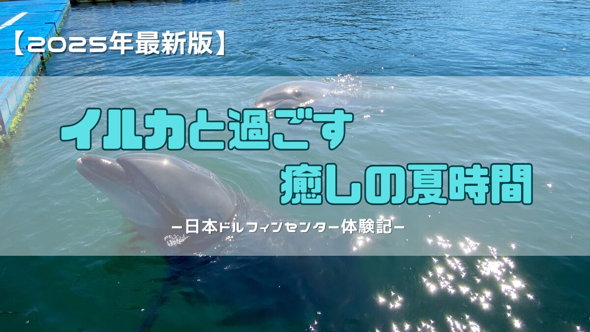 日本ドルフィンセンターアイキャッチ画像