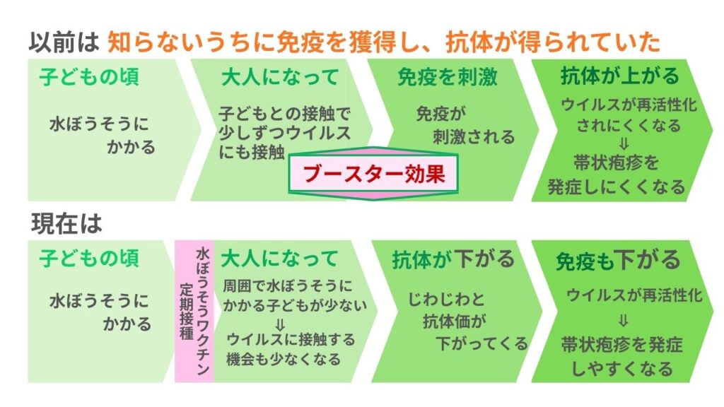 水ぼうそうのブースター効果についての図解