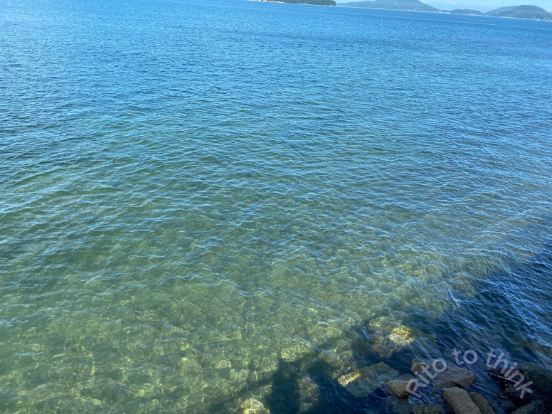 底が見えるほど透き通った瀬戸内海の水面